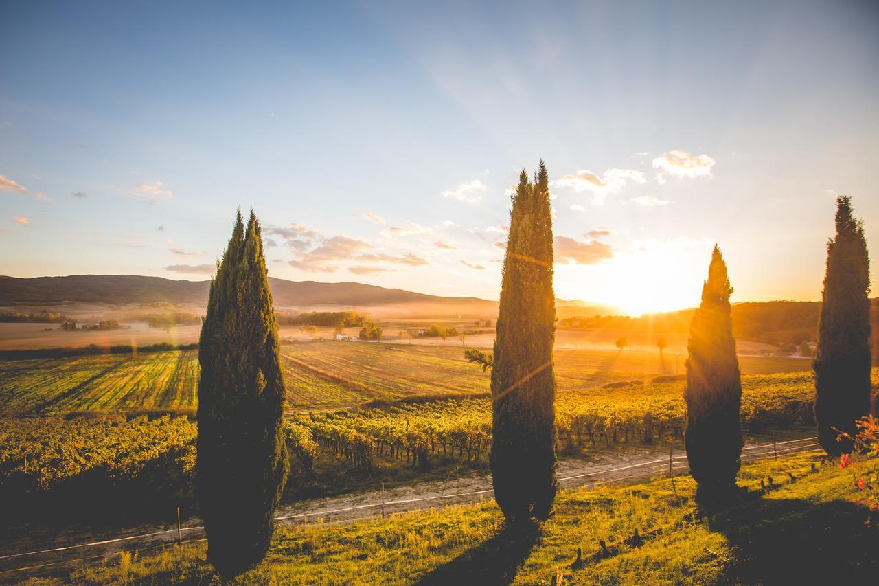 Casali Di Bibbiano Vila Buonconvento Exterior foto